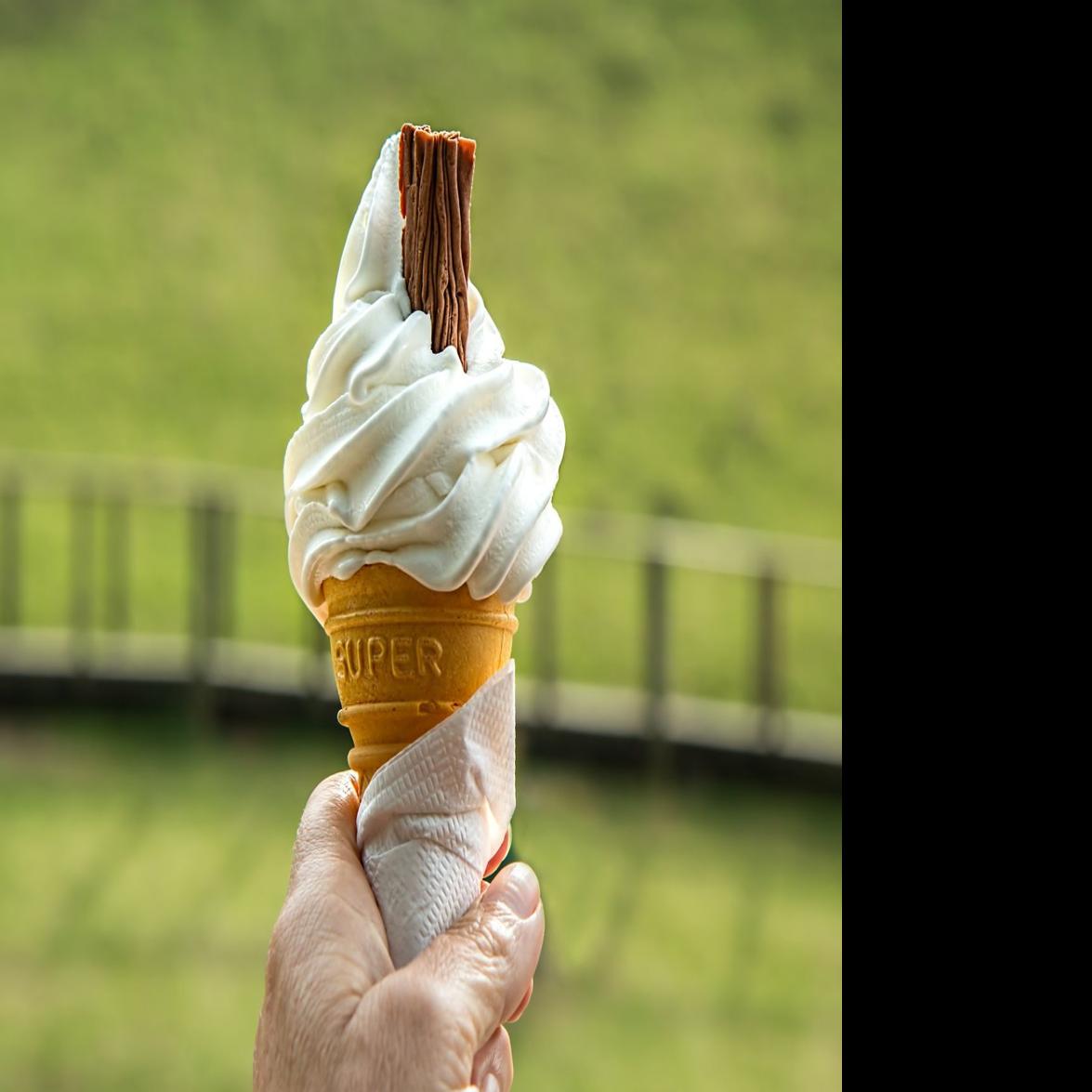 What S The Difference Between Ice Cream And Custard Food Dailyitem Com