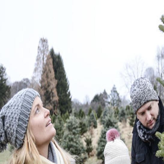 Bringing the forest indoors | Inside Pennsylvania | dailyitem.com