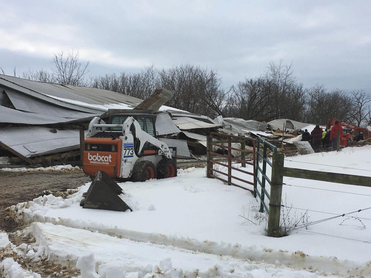 Barn collapse kills 4 farm animals in Union County Local News