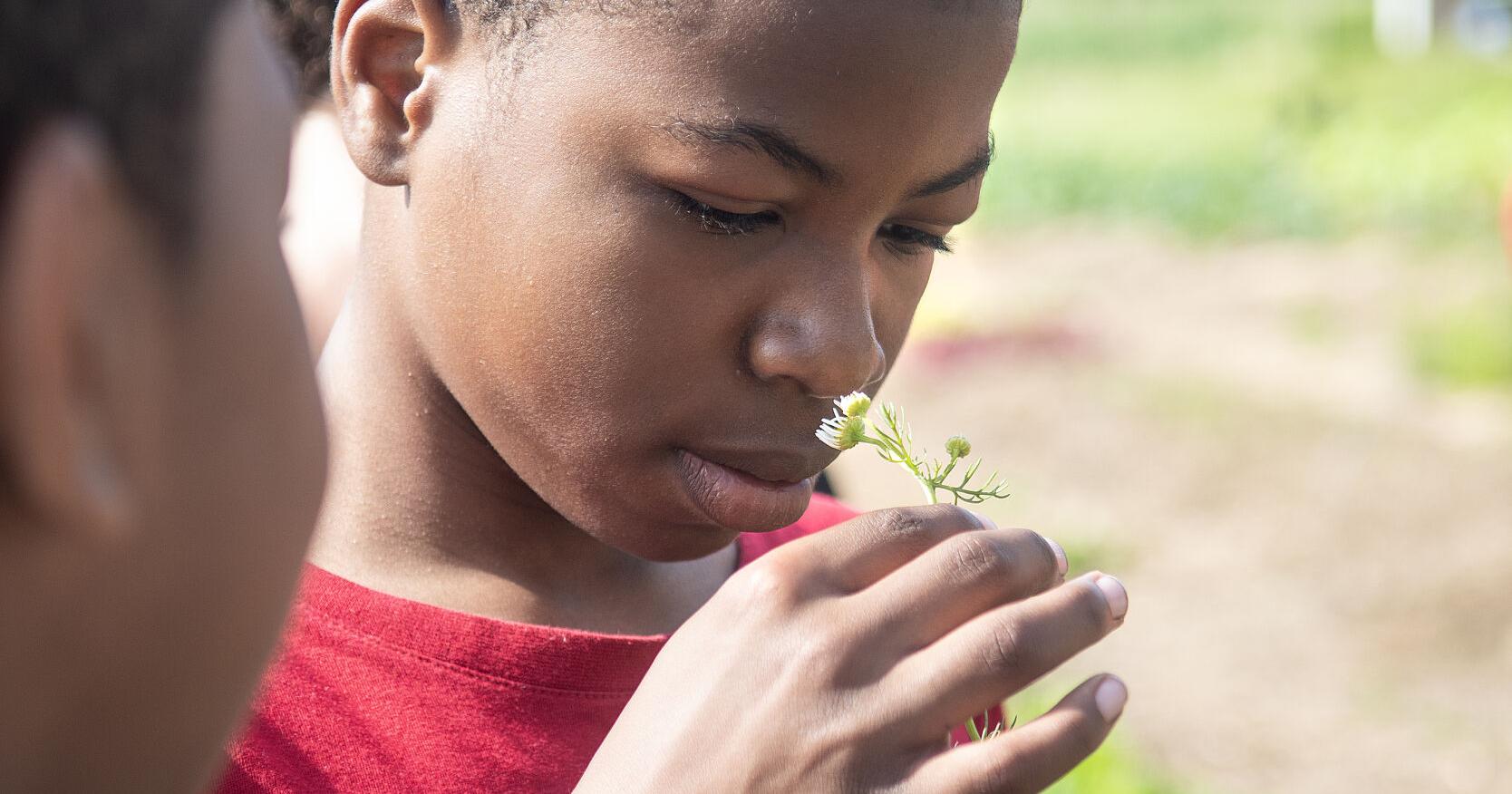 Shikellamy Middle School students visit farms, harvest lettuce - Vimarsana News