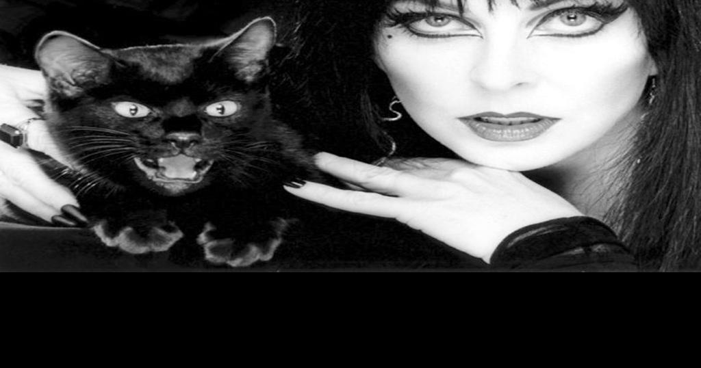 Tinseltown Talks Elvira warns Halloween can be scary for pets
