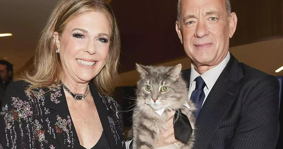 Local cat stars with Tom Hanks | News