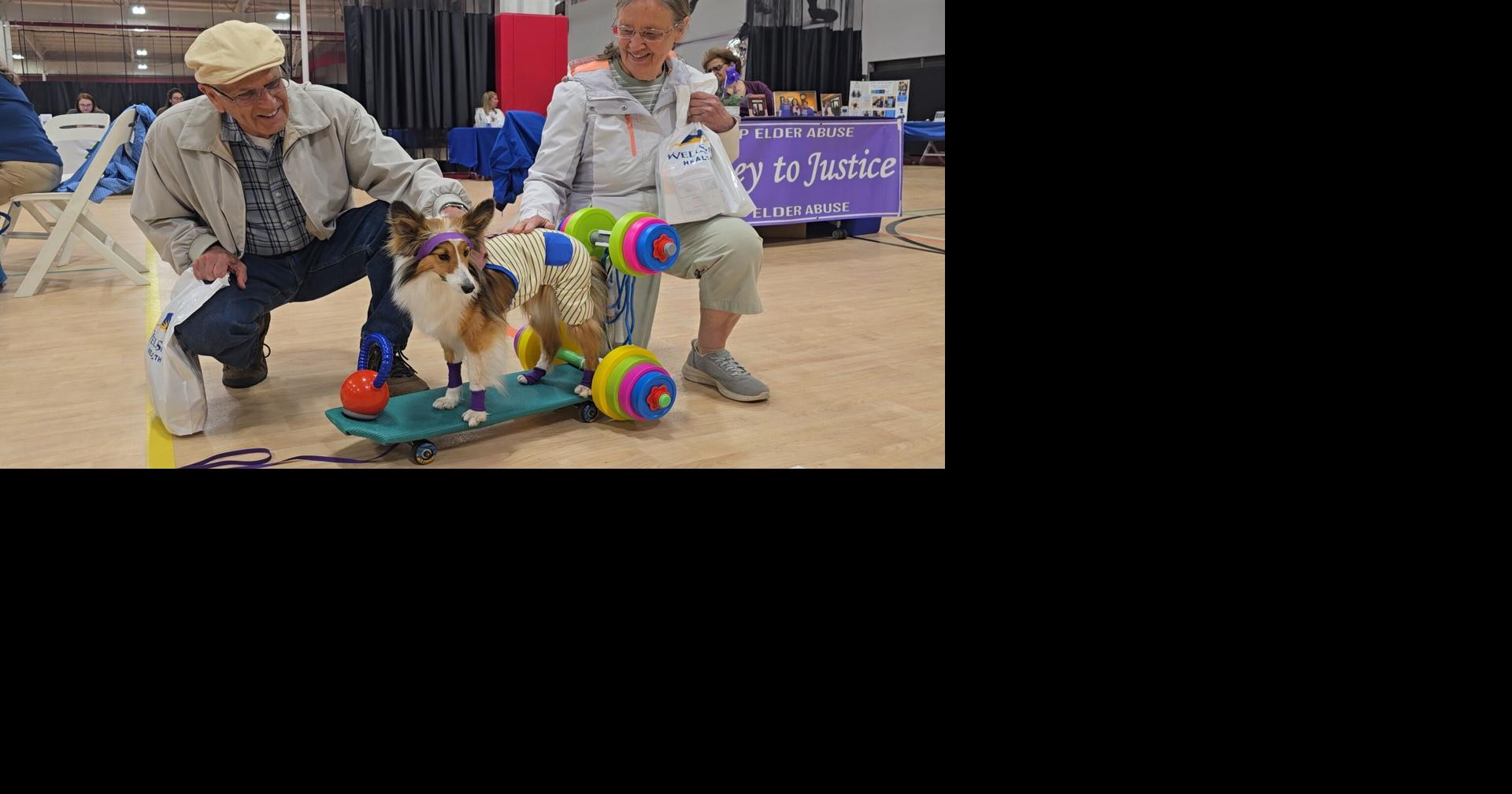 Seniors connect with resources at Health and Fitness Day in Lewisburg | News