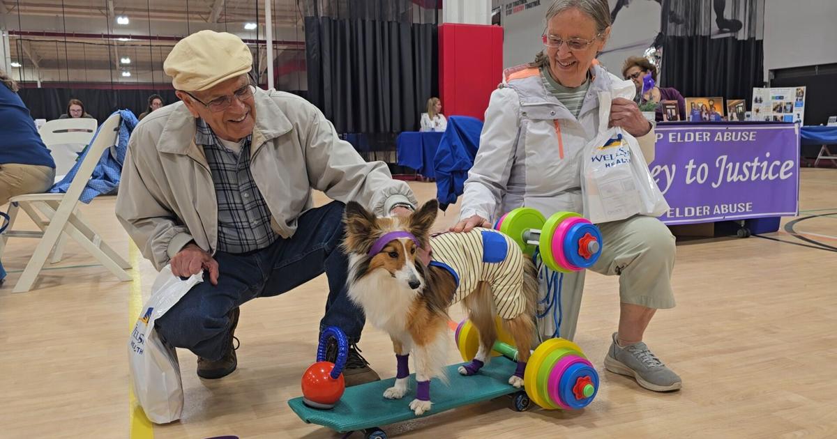 Seniors connect with resources at Health and Fitness Day in Lewisburg | News Seniors connect with resources at Health and Fitness Day in Lewisburg | News