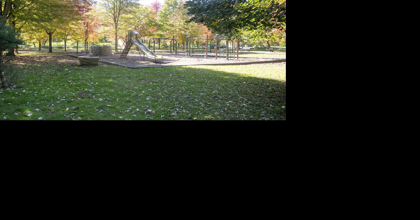 Milton launches 250 Trees for 250 Years planting project