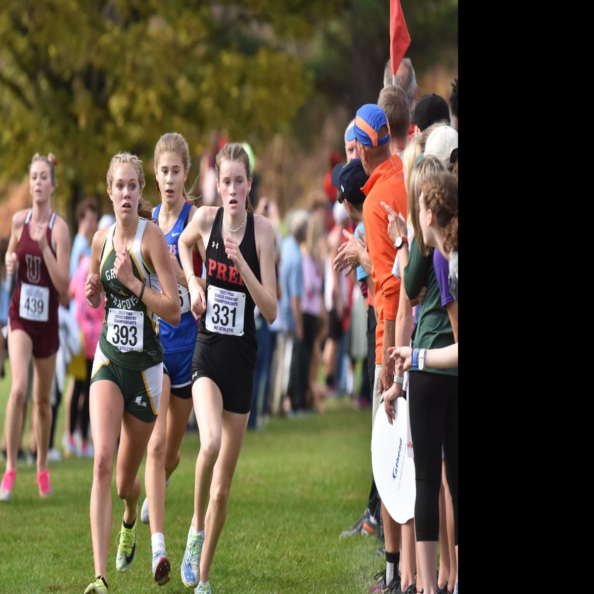 Danville girls race to runner-up finish in state | Sports ...