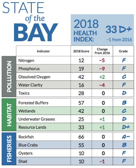 Report Poor Water Quality Continues To Impact Chesapeake