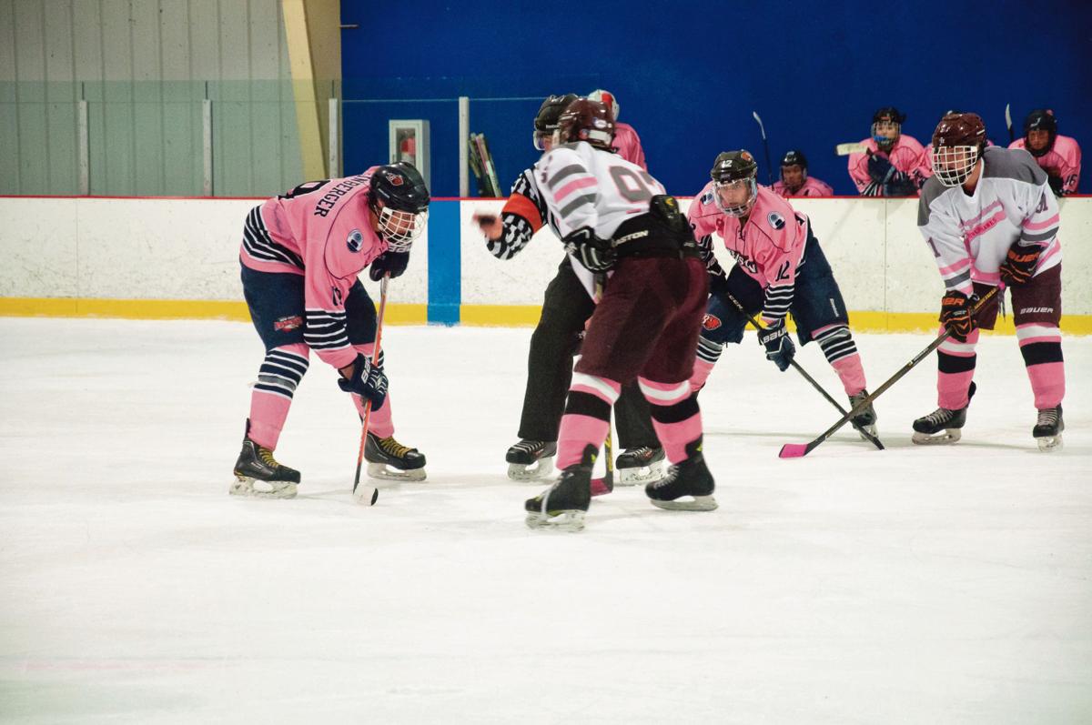 Breast Cancer, Pink Rink, Hockey