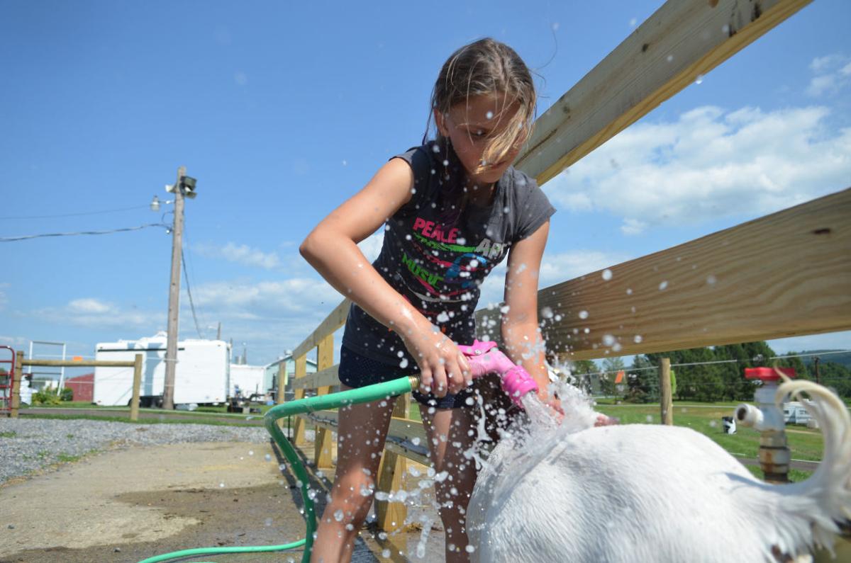 Montour Delong Fair 2014 Gallery