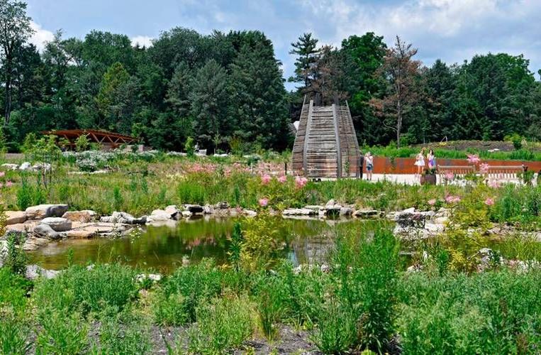 The Arboretum at Penn State opens 3-acre Pollinator and Bird garden ...