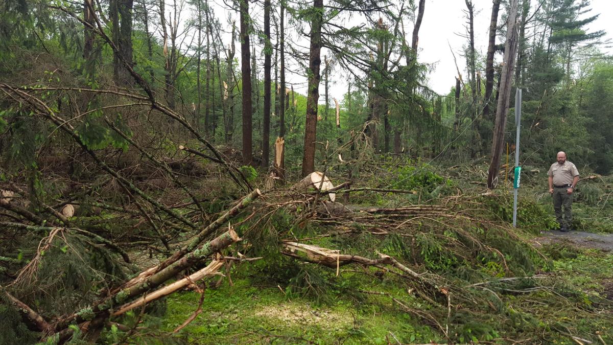 Downburst Not Tornado Damaged Trees At R B Winter News Dailyitem Com