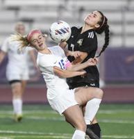 10 Valley teams set for state soccer, field hockey tournaments