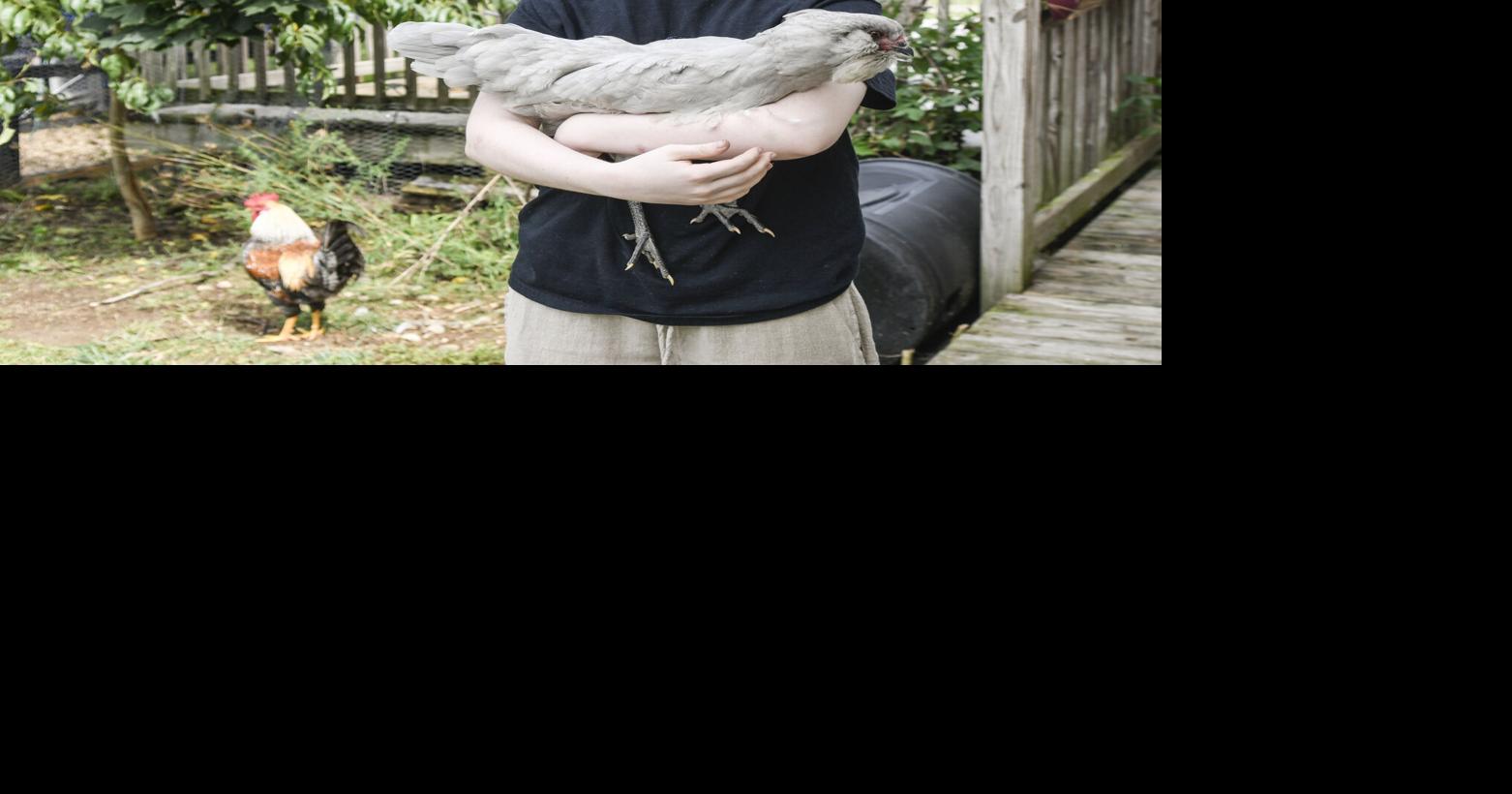 Penn Township teen fighting to keep poultry pets | News | dailyitem.com