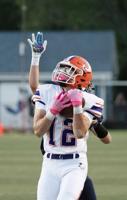 Danville starts fast in rout of Blue Jays