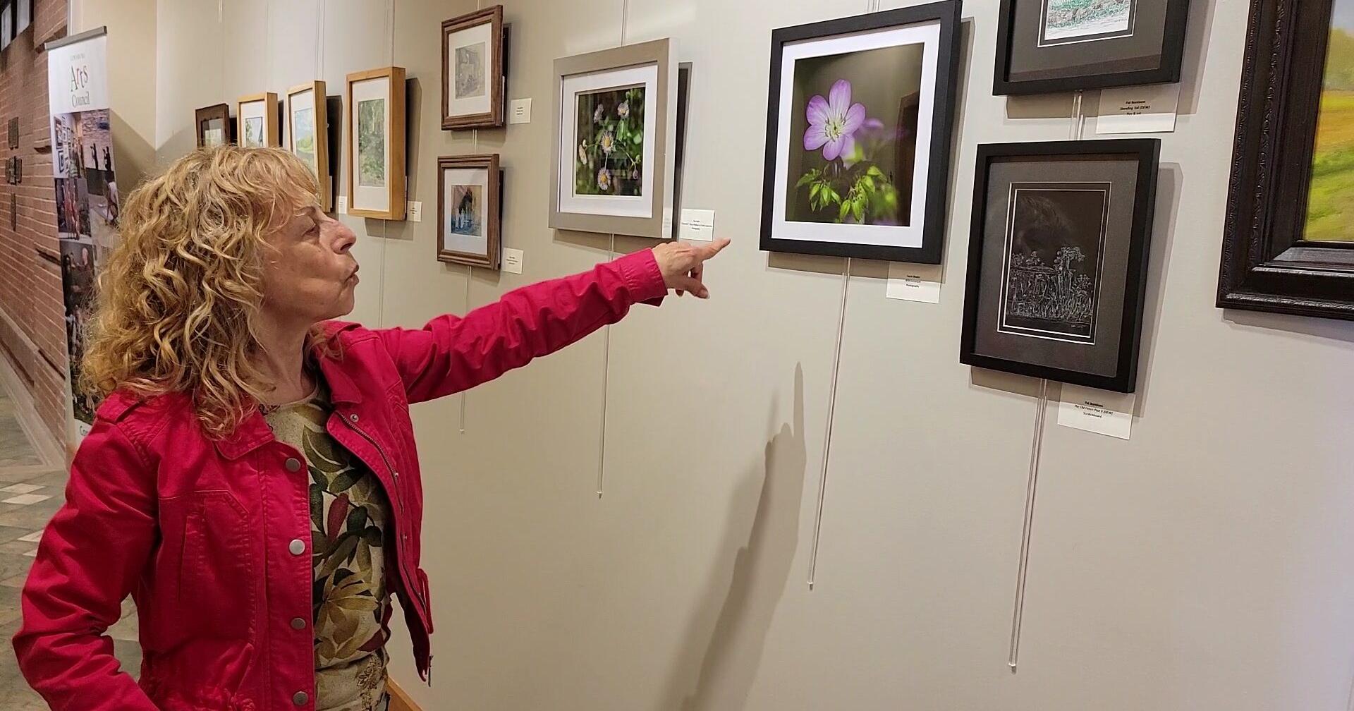 Plein Air Art Show featured this month at Public Library for Union County - Vimarsana News