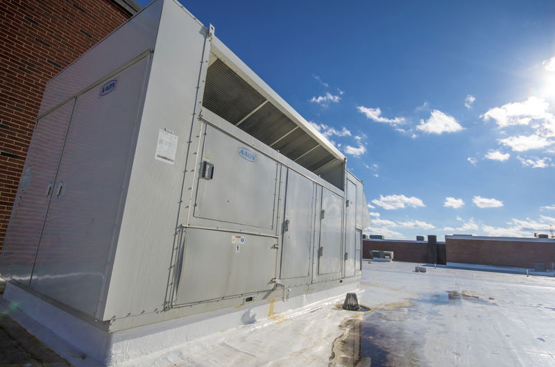 Schools Paying The For Mold Snyder County Dailyitem Com Schools Paying The For Mold