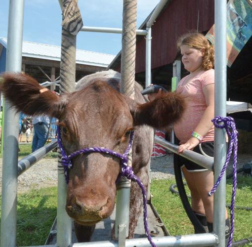 Montour Delong Fair 2025