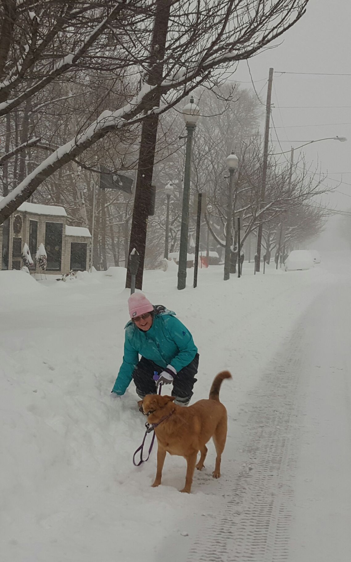 Snow 1 Foot And Counting In Shamokin News Dailyitem Com