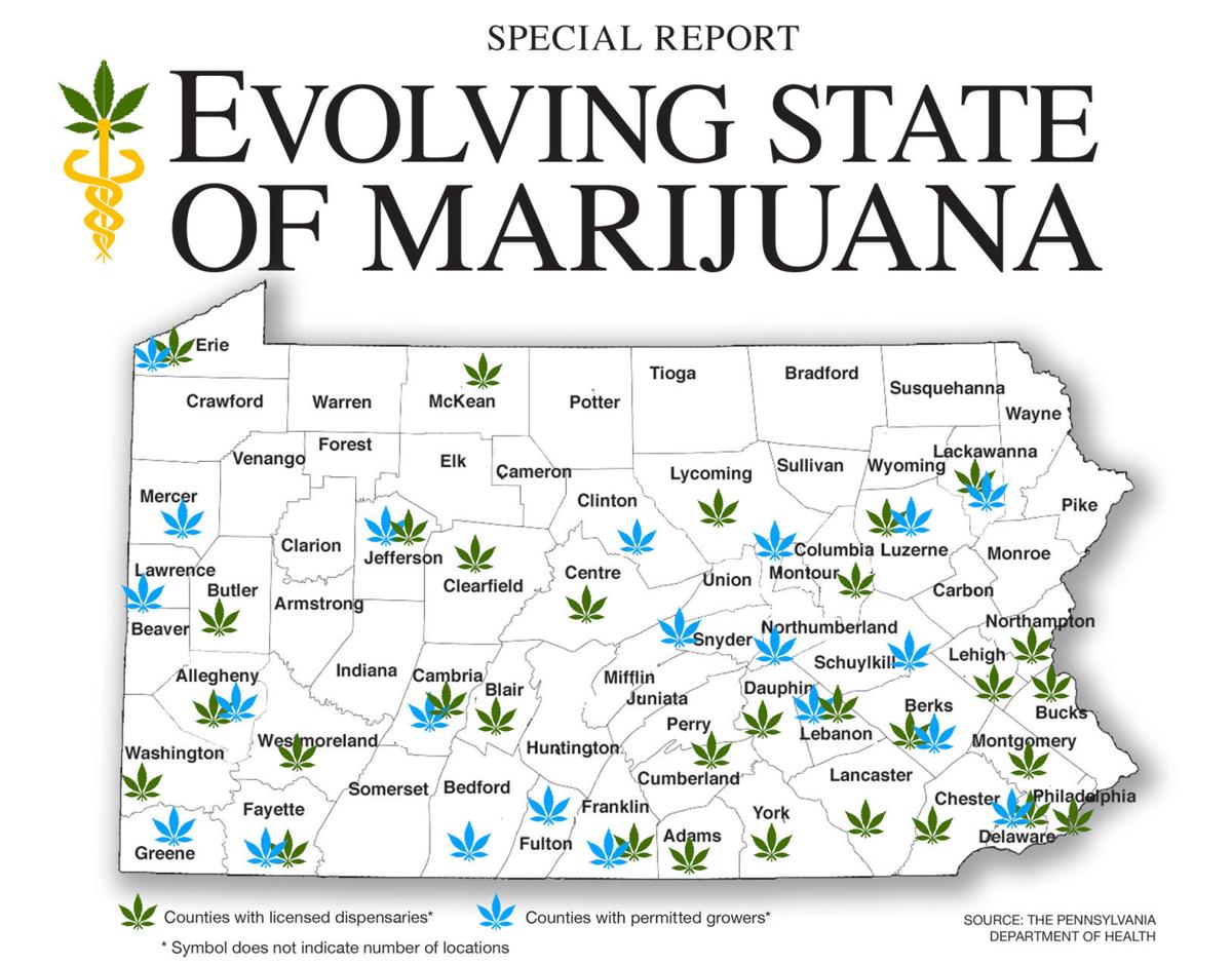 Pennsylvania set to launch marijuana research at 8 universities News