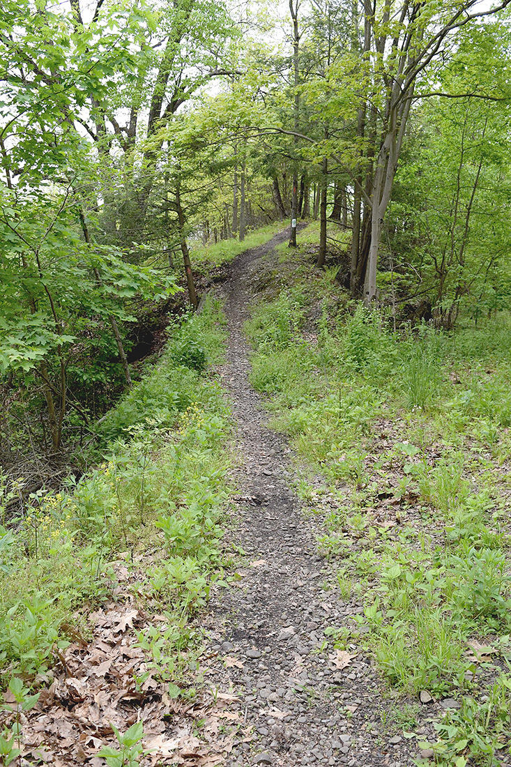 Hopewell Park bike trails gain in populairty News