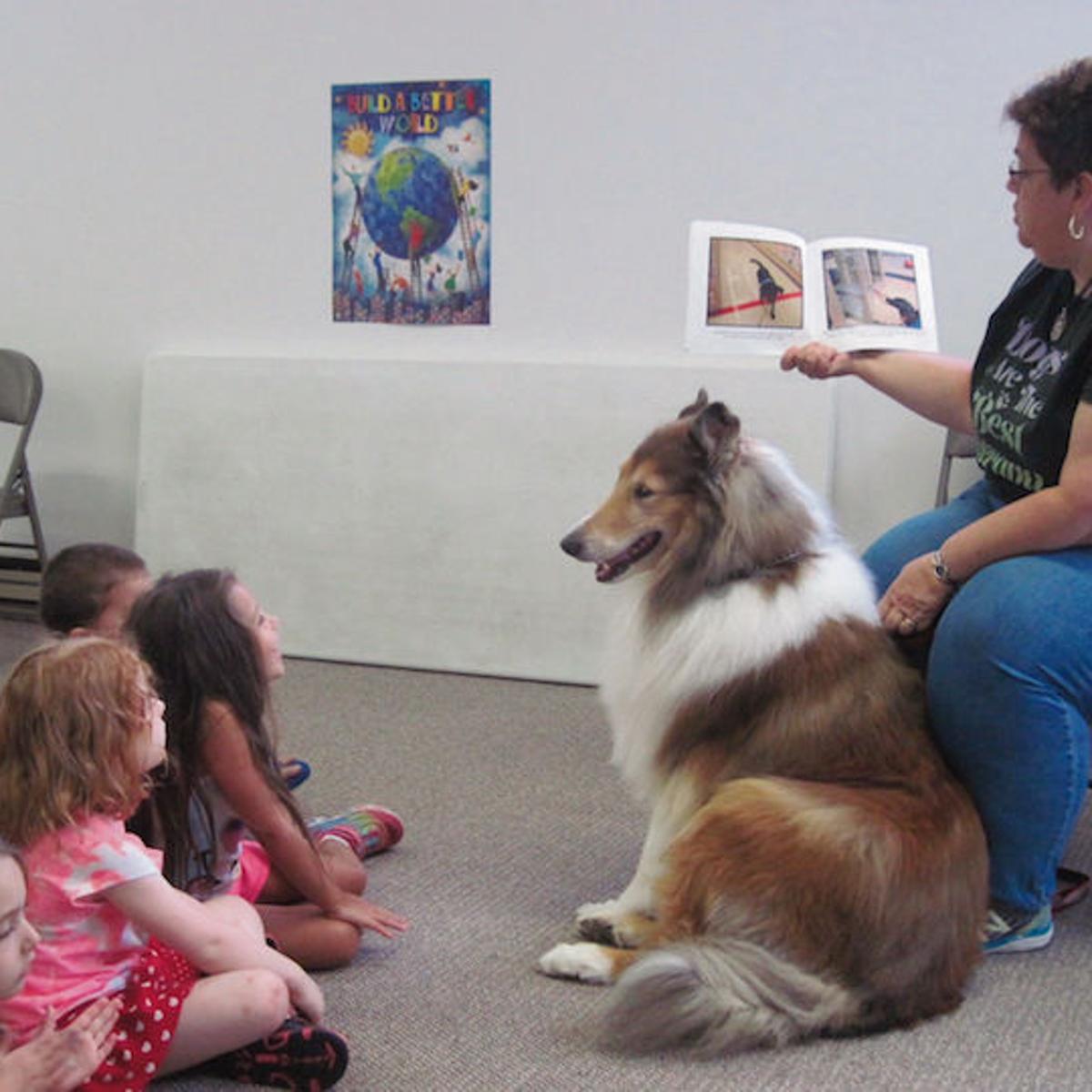 Kids Greet A Furry Visitor Schools Dailyitem Com