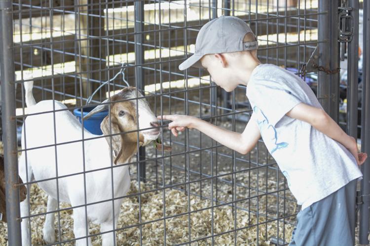 MontourDeLong Fair Cabin reconstruction gets boost from state