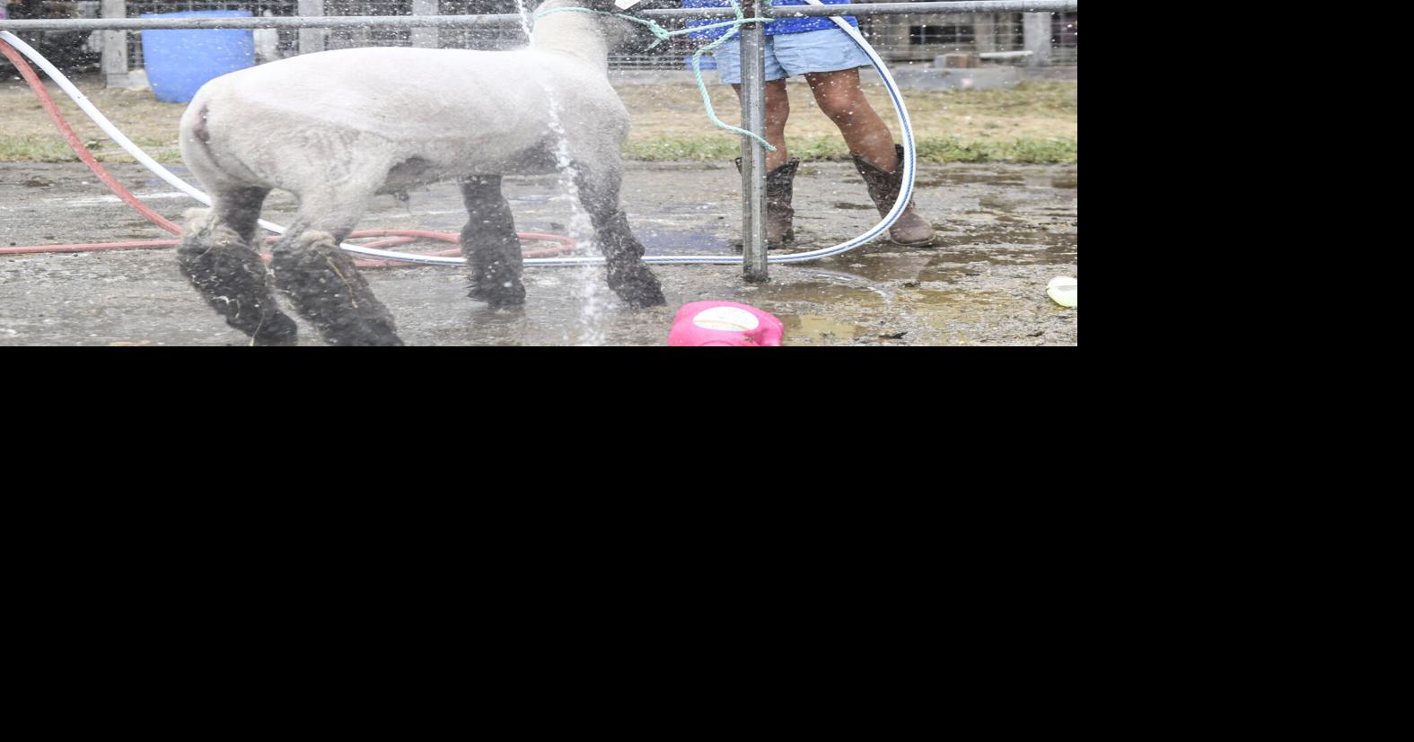 Fair carries on traditions from 100 years ago