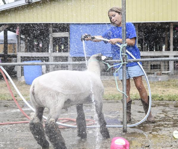 Union County West End Fair can bring out local's competitive side