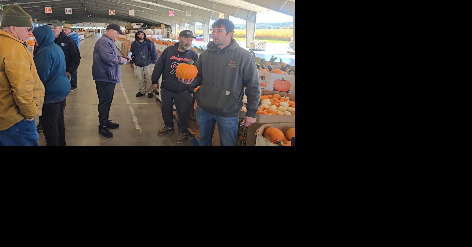 Buffalo Valley Produce Auction draws pumpkin buyers from across East Coast