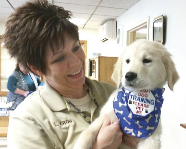 are service dogs allowed in courthouses