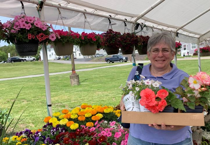 Tiny Town Shamokin Dam a community of peaceful neighborhoods, thriving