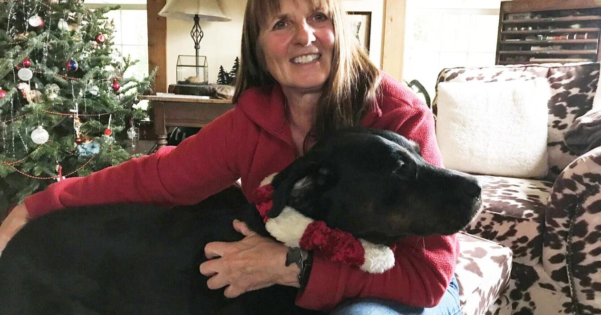 Retaining your pets healthier in the New 12 months | Within Pennsylvania Retaining your pets healthier in the New 12 months | Within Pennsylvania