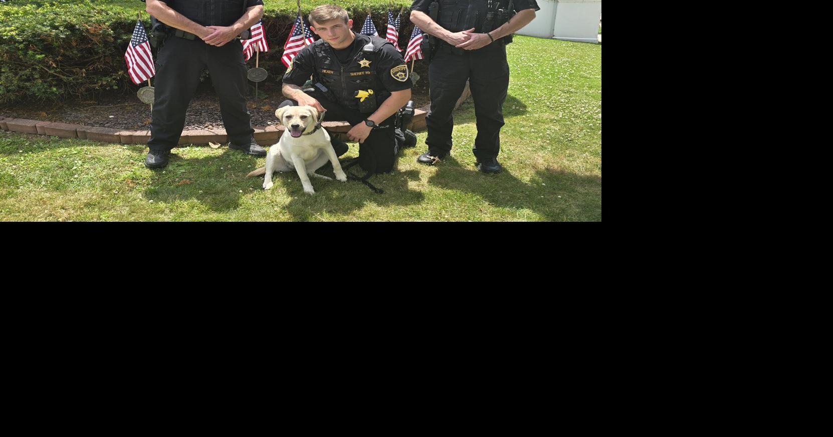 Union County Sheriff to add two K-9s after Edy's retirement