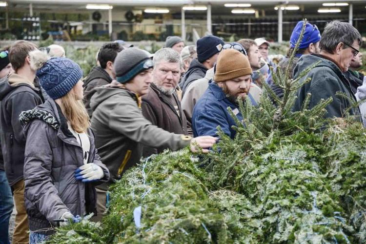 Mifflinburg Christmas tree auction draws bidders from along East Coast