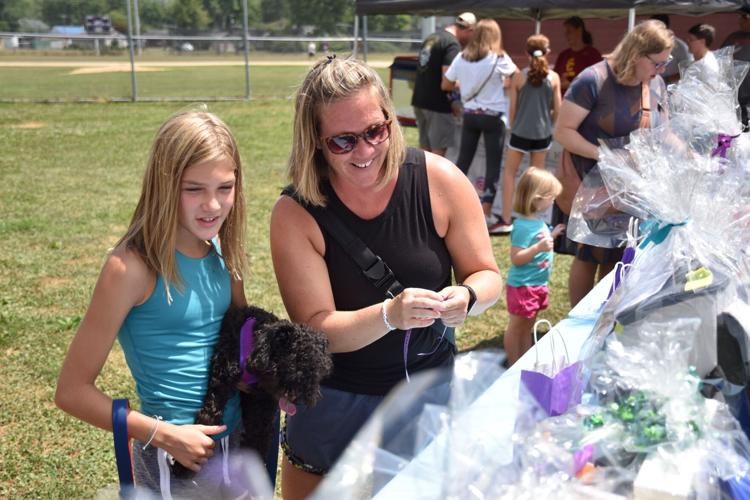 Mental health a focus of carnival in Danville