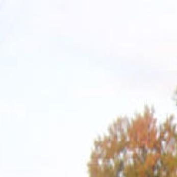 Tractor Trailer Flips Over Along Route 11 News Dailyitem Com