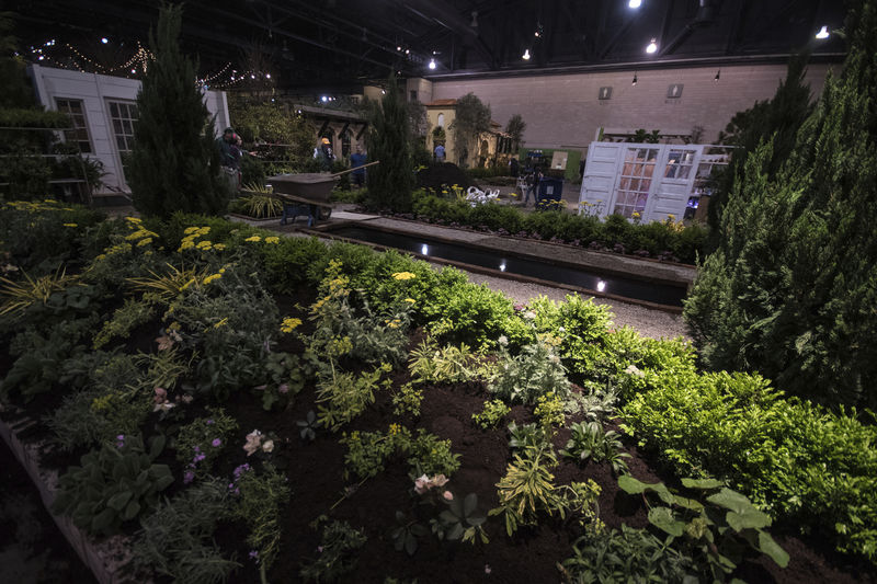 Selinsgrove man helps run biggest flower show in world