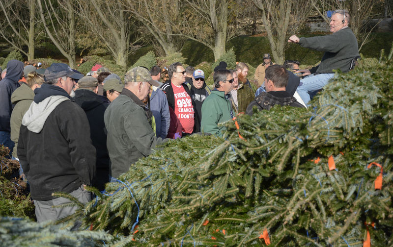 Company auctions off nearly 44,000 trees Local News