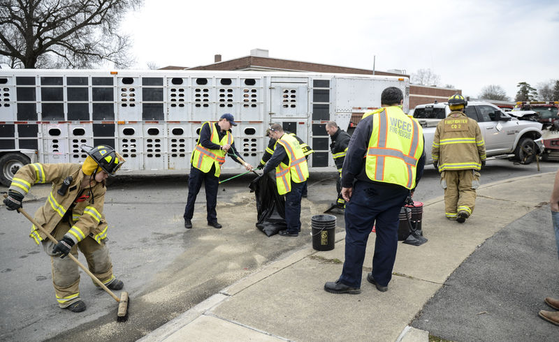 Driver crashes into livestock trailer | Local News | dailyitem.com