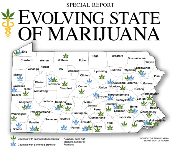 MEDICAL MARIJUANA | From growers to patients: Taking a ...