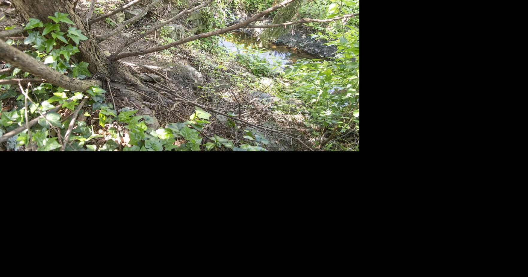 Weiser Run erosion raising concerns for property owners
