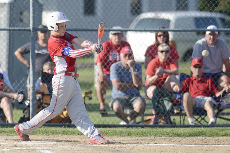 Little League Baseball Selinsgrove Juniors win district title Sports