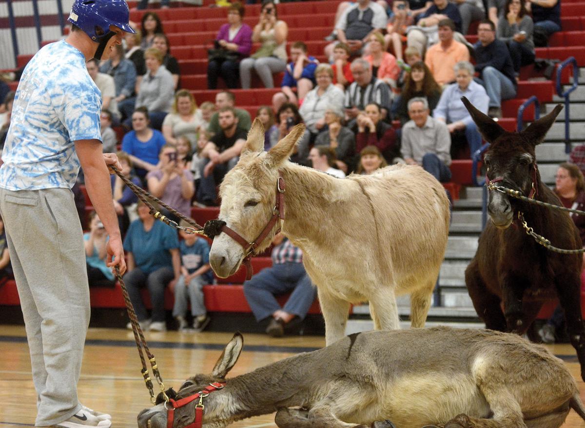 Students Square Off In Donkey Basketball News Dailyitem Com