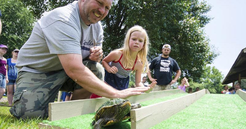 Turtle Speed Test Annual derby tests turtles' speed | Local News | dailyitem.com