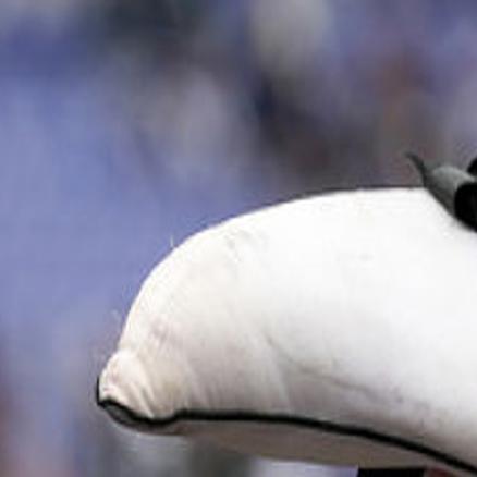 SLIDESHOW: Super fans of the NFL | | dailyitem.com