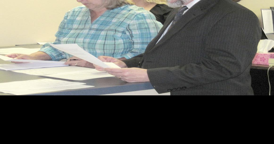 Montour County tax sale properties scooped up News