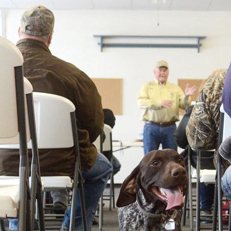 Trainer Use Love Care Not Cruelty When Teaching Dogs News