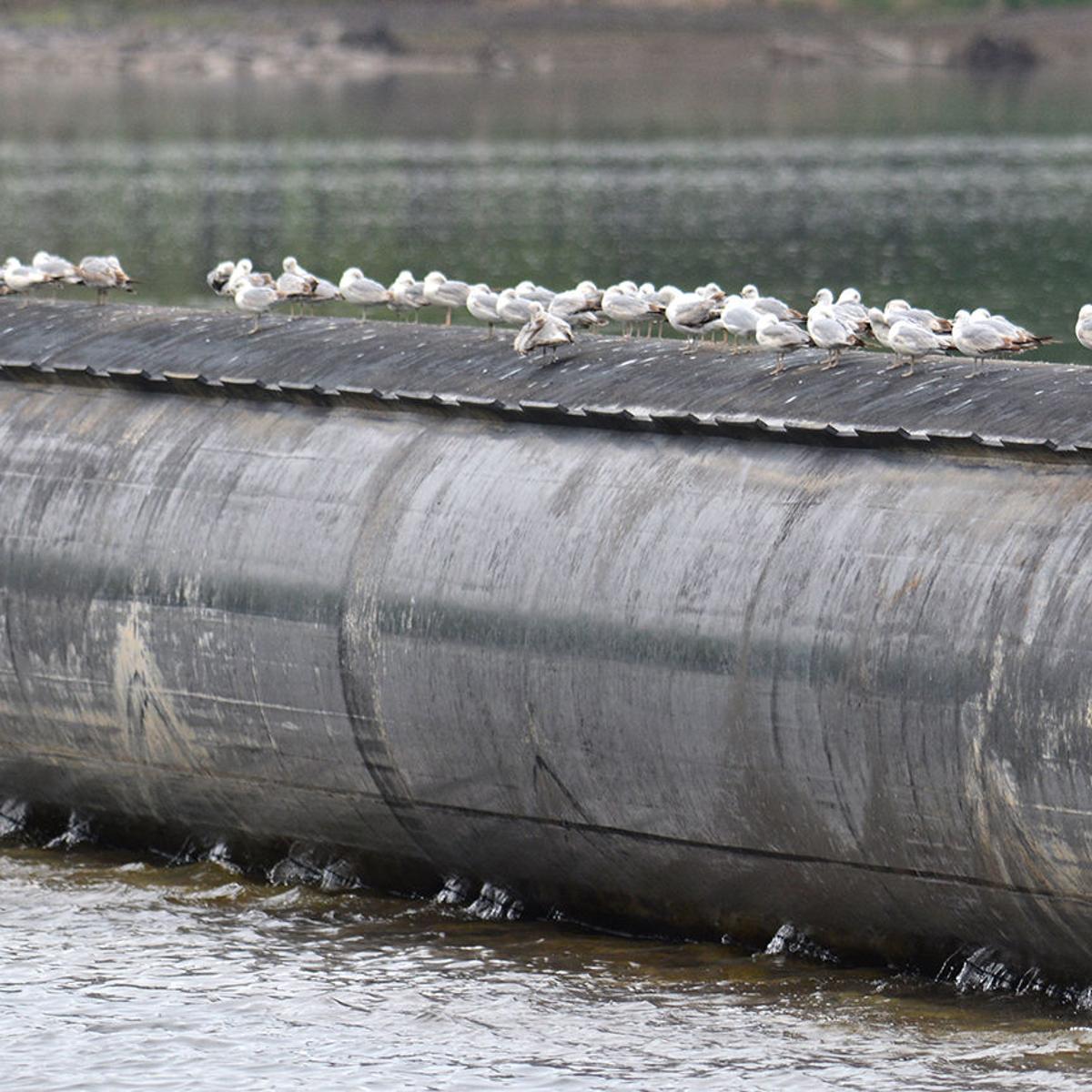 Sunbury Inflatable Dam May Be World S Largest News Dailyitem Com