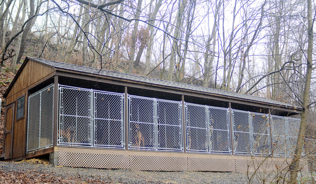 loyalty repaid canine rescue gains national scope news loyalty repaid canine rescue gains national scope news