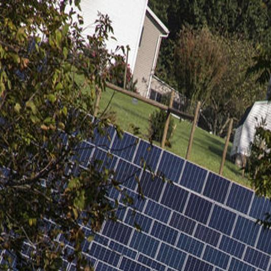Susquehanna University Incorporates Solar Panels And Sheep To Campus Initiatives Snyder County Dailyitem Com